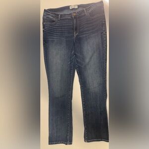 BKE Jeans Womens Blue Gabby Curvy Fit High Rise Straight Stretch Size 27 X 33.5